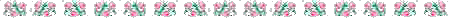 Rose Bar